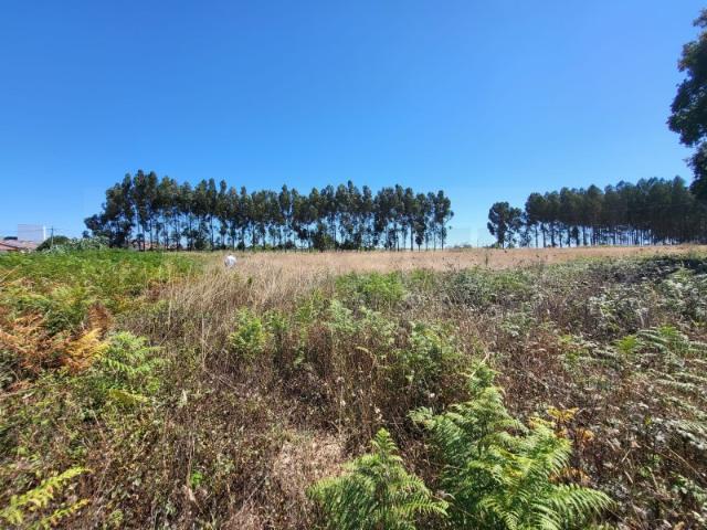 Terreno venda em Ílhavo, Aveiro