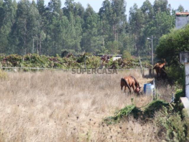 Terreno venda em Aveiro