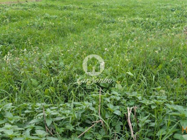 Terreno venda em Vila Do Conde, Porto