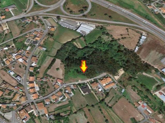 Terreno venda em Albergaria-a-Velha, Aveiro