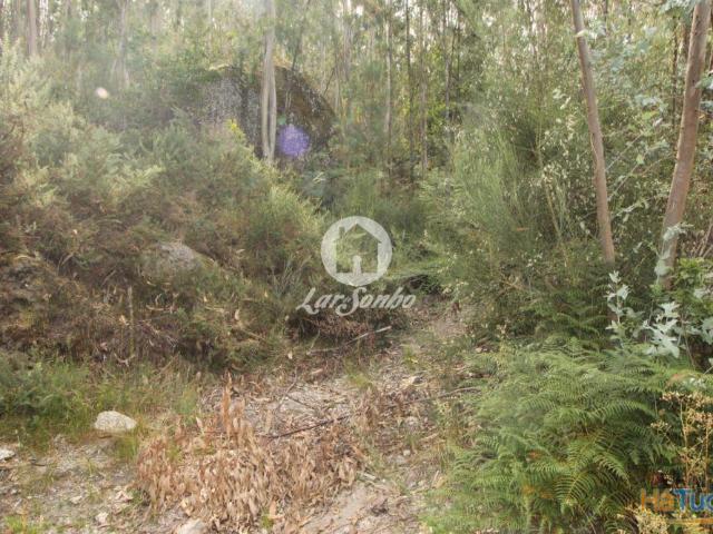 Terreno venda em Celorico De Basto, Braga