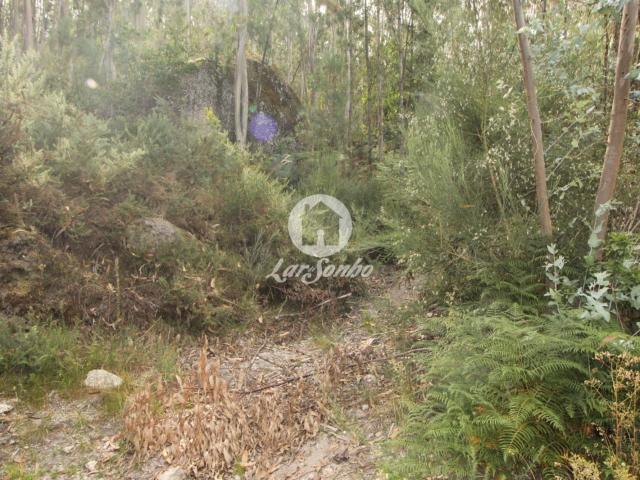Terreno venda em Fafe, Braga