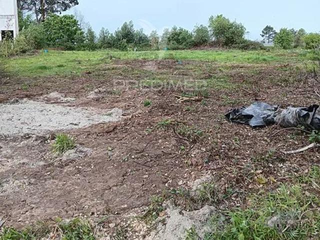 Terreno venda em Assilhó, Albergaria-a-velha
