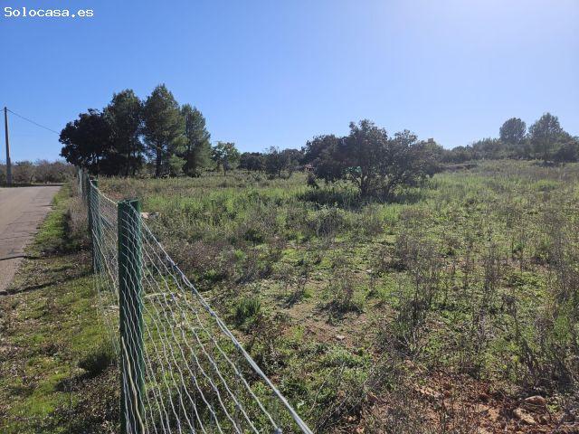 Local Comercial en venta en la Plana Alta, Valencia