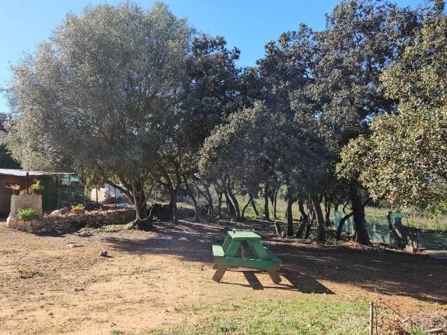 Terreno en venta en la Plana Alta, Valencia