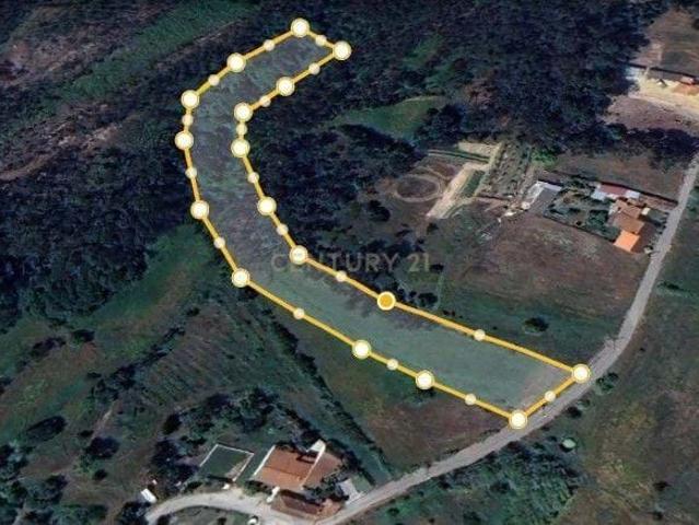 Terreno venda em Montemor-o-velho, Coimbra