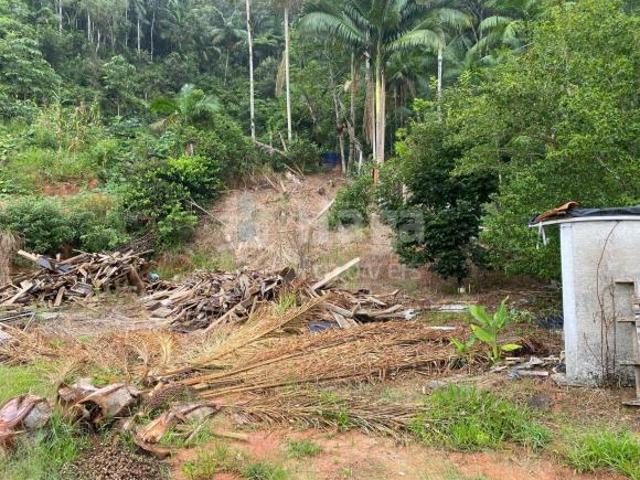 Terreno venda em Região Geográfica Imediata de Brusque, Nova Trento