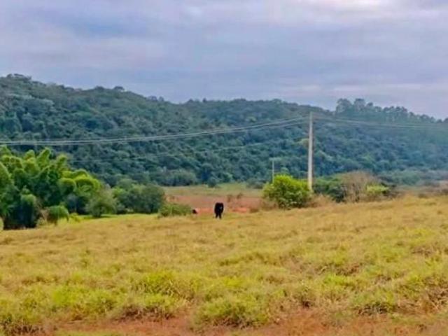 Terreno venda em Região Geográfica Imediata de Itajubá, Delfim Moreira