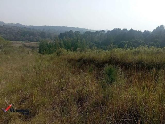 Terreno venda em Região Geográfica Imediata de Curitiba, Região Metropolitana de Curitiba