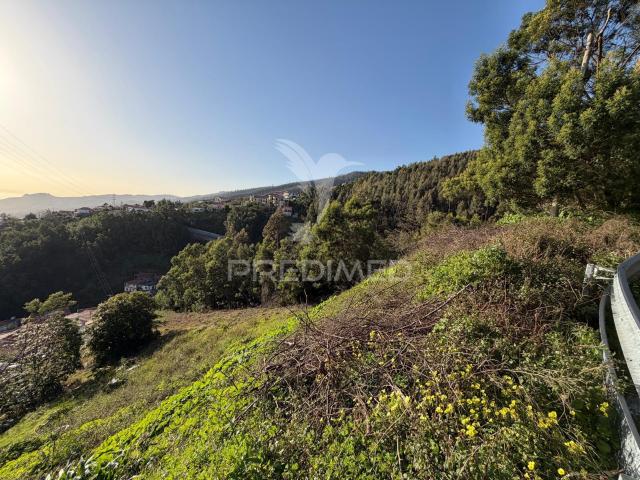 Terreno venda em Funchal, Ilha Da Madeira