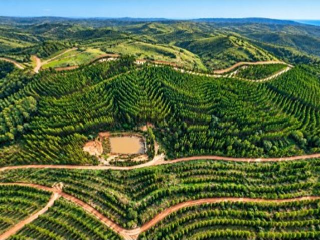 Terreno venda em Odemira, Beja