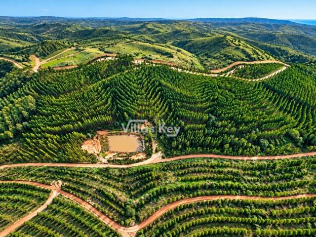Terreno venda em Odemira, Beja