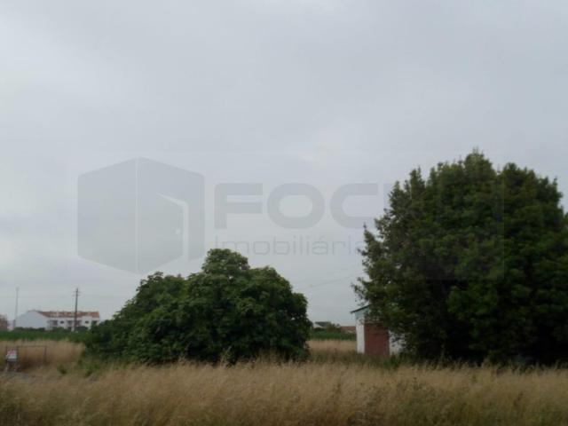 Terreno venda em São Bernardo, Aveiro