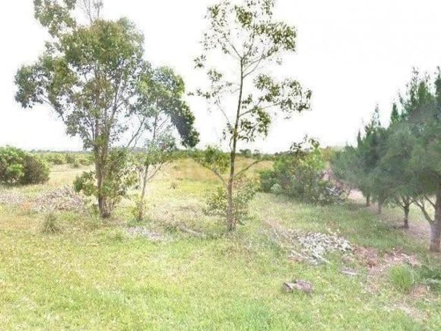 Terreno venda em Região Geográfica Imediata de Torres, Aglomeração Urbana do Litoral Norte