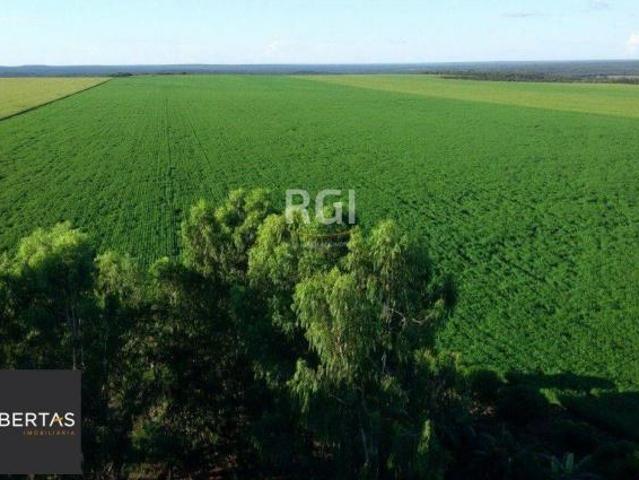 Terreno venda em Região Geográfica Imediata de Tangará da Serra, Sapezal