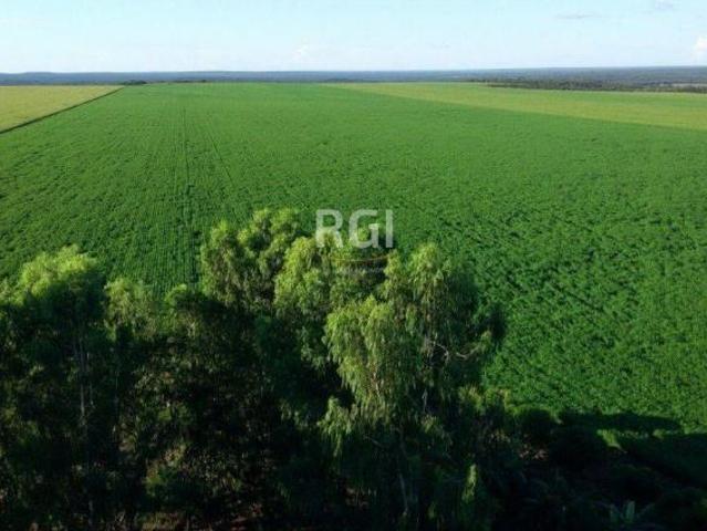 Terreno venda em Região Geográfica Imediata de Tangará da Serra, Sapezal