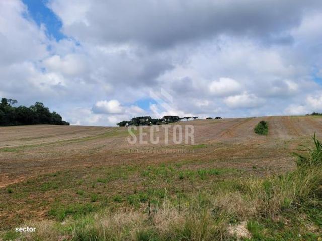 Terreno venda em Região Geográfica Imediata de Curitiba, Região Metropolitana de Curitiba