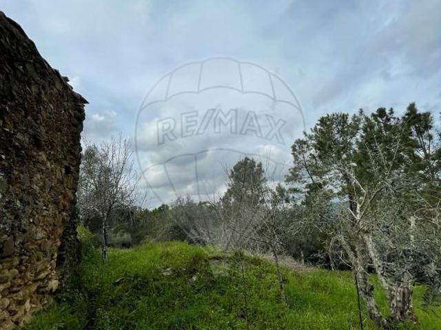 Terreno venda em Olalhas, Sesmarias