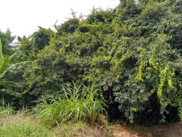 Terreno venda em Região Imediata de Jundiaí, Itupeva