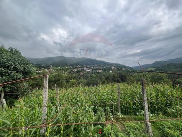 Terreno venda em Grovelas São João Evangelista, Viana Do Castelo