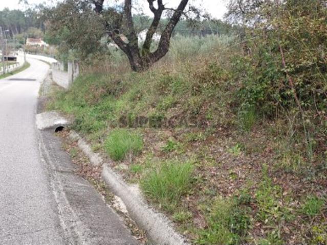 Terreno venda em Pombal, Leiria