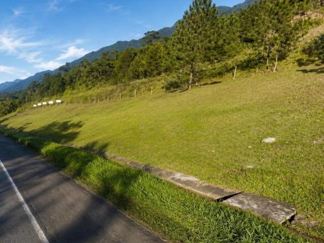 Terreno venda em Região Geográfica Imediata de Paranaguá, Paranaguá