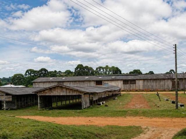 Terreno venda em Região Geográfica Imediata de Curitiba, Região Metropolitana de Curitiba