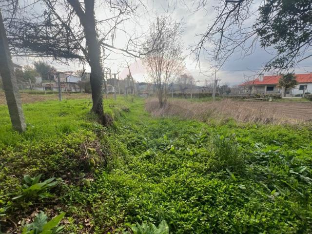 Terreno venda em Grovelas São João Evangelista, Viana Do Castelo