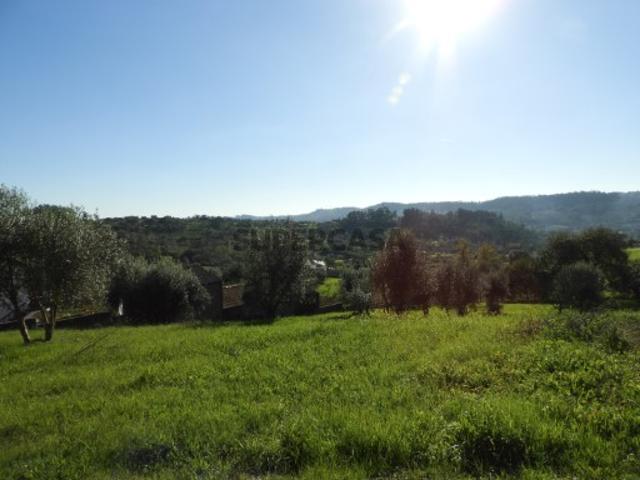 Terreno venda em Pombal, Leiria