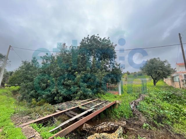 Terreno venda em Albufeira e Olhos de Água, Albufeira
