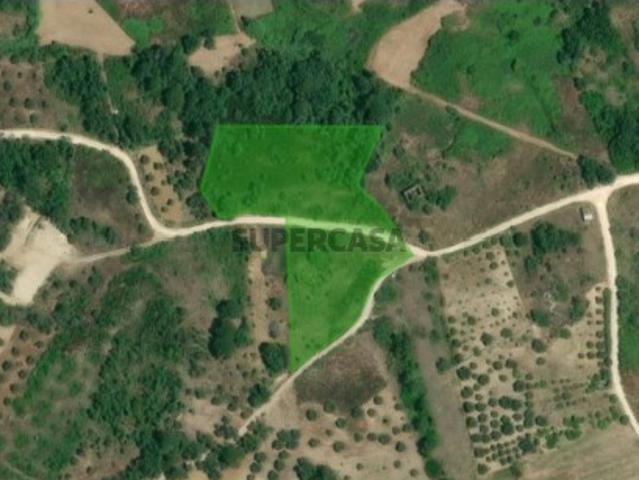 Terreno venda em Pombal, Leiria