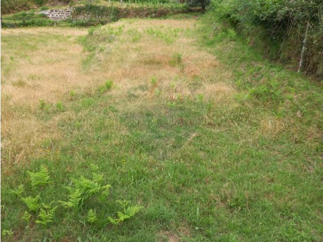 Terreno venda em Bouça Soeiro, Arcos De Valdevez