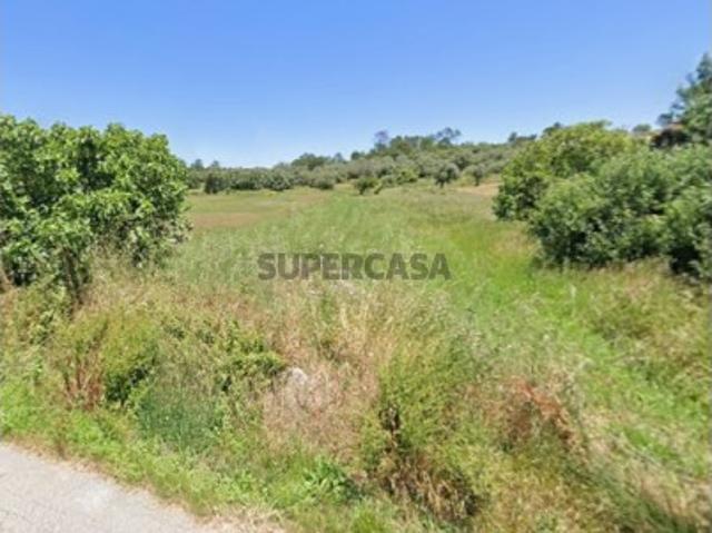 Terreno venda em Pombal, Leiria