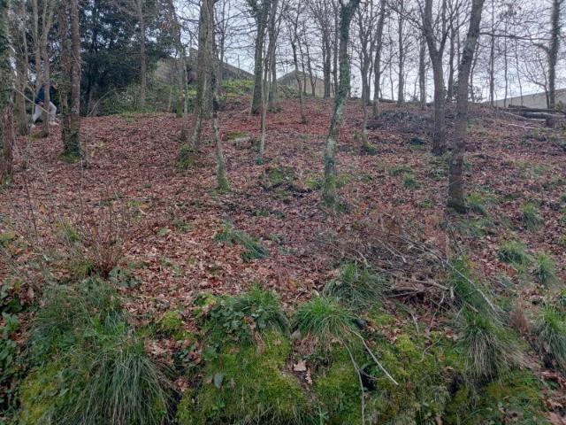 Terreno venda em Paçô, Arcos De Valdevez