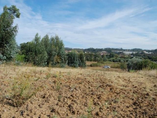 Terreno venda em Tomar, Santarém