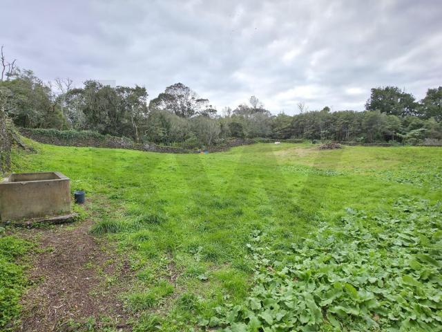 Terreno venda em Açores, Fenais Da Luz