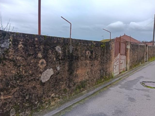 Terreno venda em Albergaria-a-velha, Aveiro