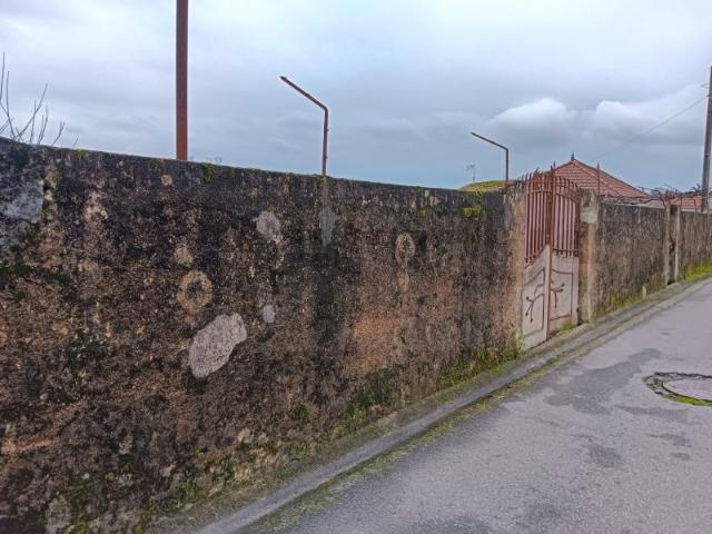 Terreno venda em Albergaria-a-velha, Aveiro