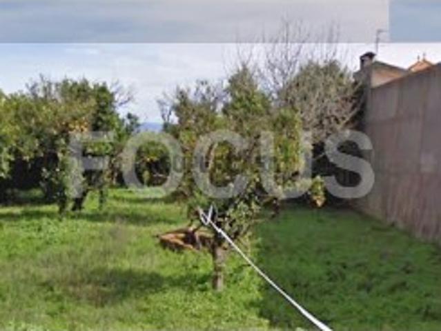 Terreno venda em Anadia, Aveiro