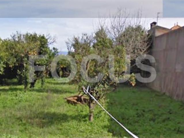 Terreno venda em Anadia, Aveiro