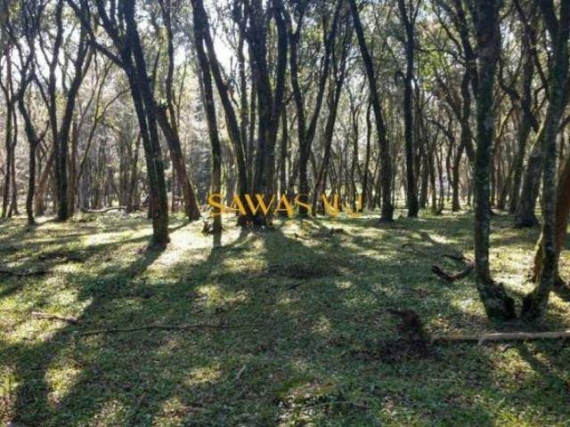 Terreno venda em Região Geográfica Imediata de Curitiba, Região Metropolitana de Curitiba