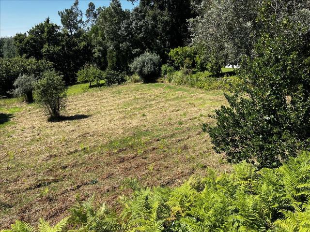 Terreno venda em Vila Nova De Poiares, Coimbra