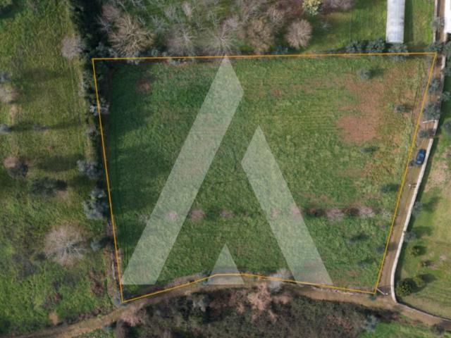 Terreno venda em Vila Nova De Poiares, Coimbra