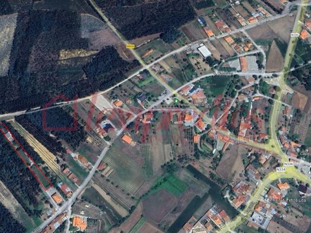 Terreno venda em Anadia, Aveiro