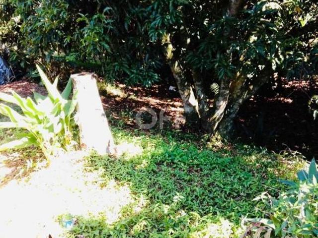 Terreno venda em Região Imediata de Amparo, Serra Negra