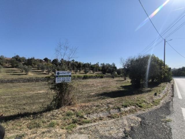 Terreno venda em Sardoal, Santarém