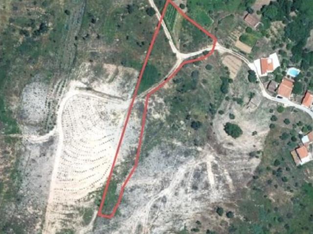 Terreno venda em Aldeia do Mato e Souto, Abrantes