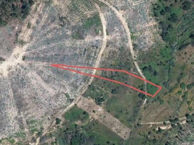 Terreno venda em Aldeia do Mato e Souto, Abrantes