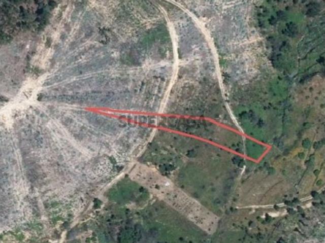 Terreno venda em Abrantes, Santarém
