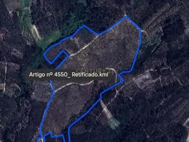 Terreno venda em Carril, Leiria